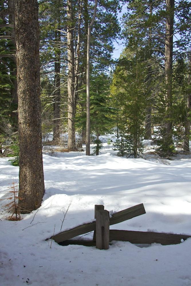 Truckee Donner Lodge Exteriér fotografie